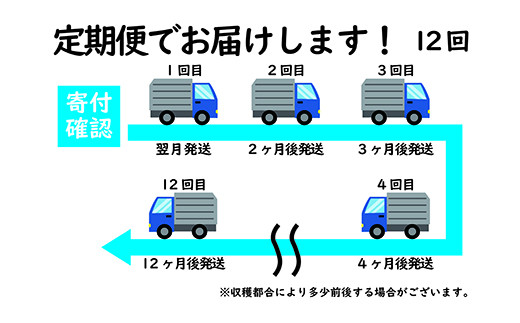 【定期便12回】 熊本県産 ひのひかり 5kg×12回 | 米 こめ お米 おこめ 白米 精米 定期 定期便 熊本県 玉名市
