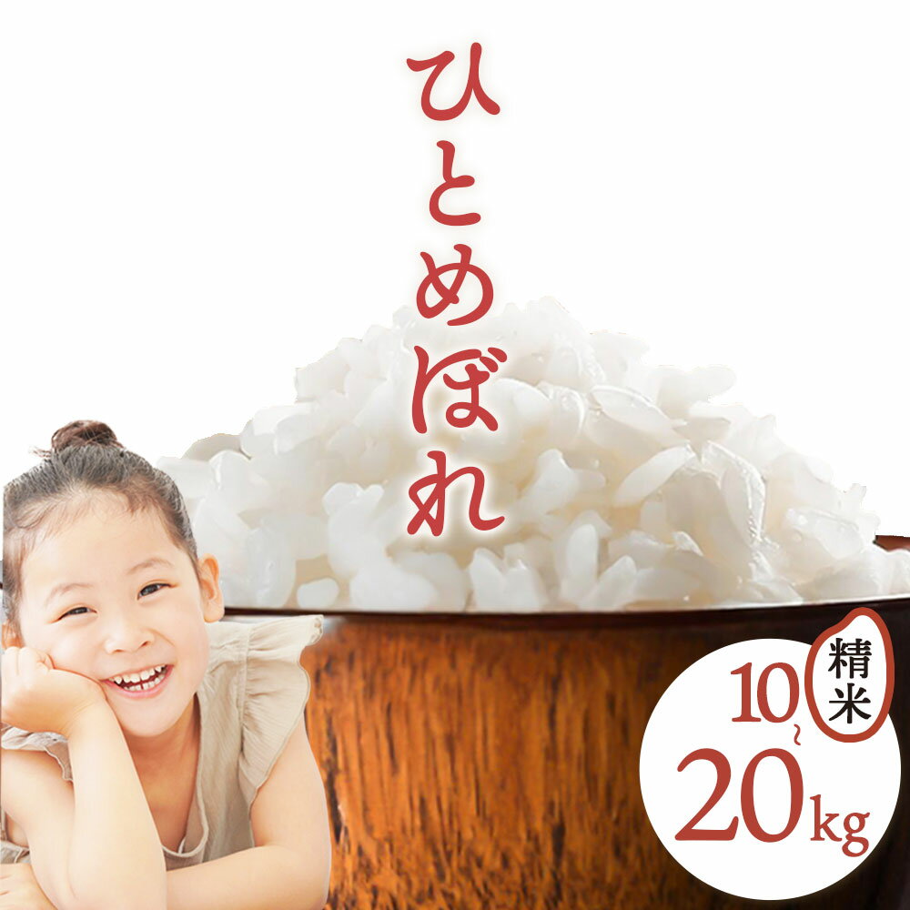 【ふるさと納税】鳥取県産 ひとめぼれ 令和7年度産 精米済 選べる 10kg or 20kg さんチョク《30日以内に出荷予定(土日祝除く)》鳥取県 八頭町 米 お米 白米 ご飯