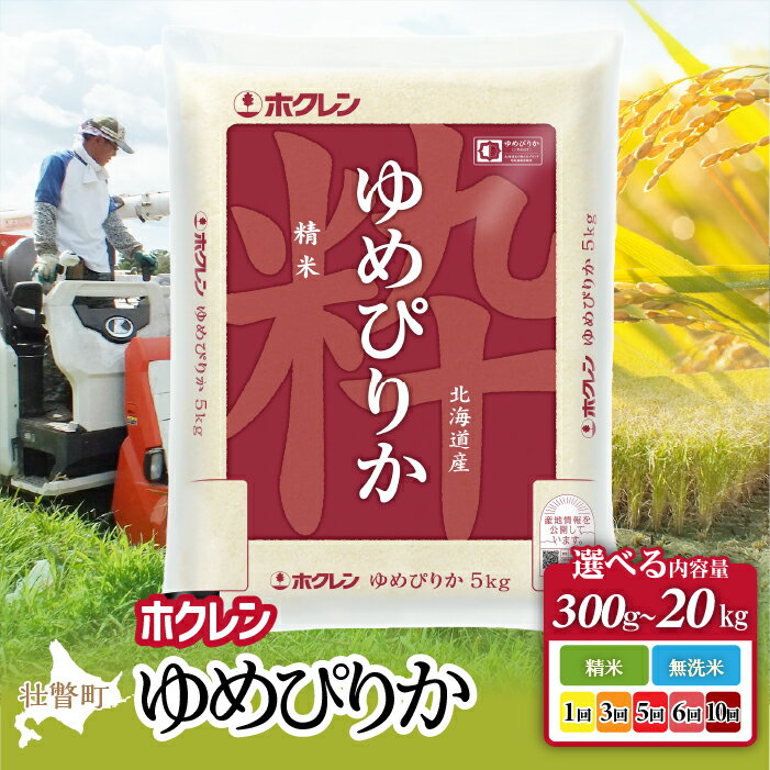 【ふるさと納税】【令和7年産】ホクレンゆめぴりか 選べる精米方法・容量・配送回数【 ふるさと納税 人気 おすすめ ランキング 定期便 北海道産 壮瞥 精米 米 白米 ゆめぴりか こめ 贈り物 贈物 贈答 ギフト 詰合せ セット 北海道 壮瞥町 送料無料 】