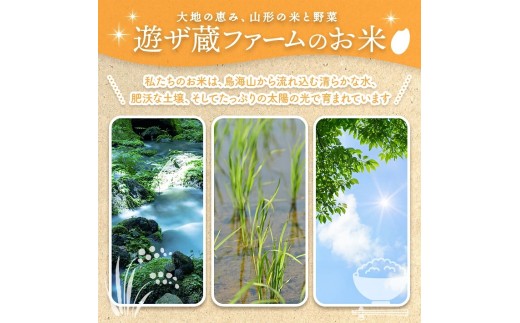 遊佐町産 特別栽培米つや姫5kg（令和８年産米）12月上旬
