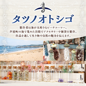 海アクセサリー ウニチタンピアス (1セット) アクセサリー ピアス チタンピアス ハンドメイド 手作り 耳飾り ギフト プレゼント 贈り物 雲丹 うに ウニ殻 1点もの オリジナル 数量限定 【タツ