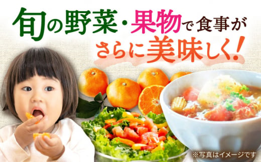 【3回定期便】シュシュの直売所から野菜・果物定期便コース / 便利な定期便 バラエティ定期便 フルーツ 定期 野菜セット 野菜 定期便 果物 くだもの フルーツ フルーツ定期便 / 大村市 / おおむ