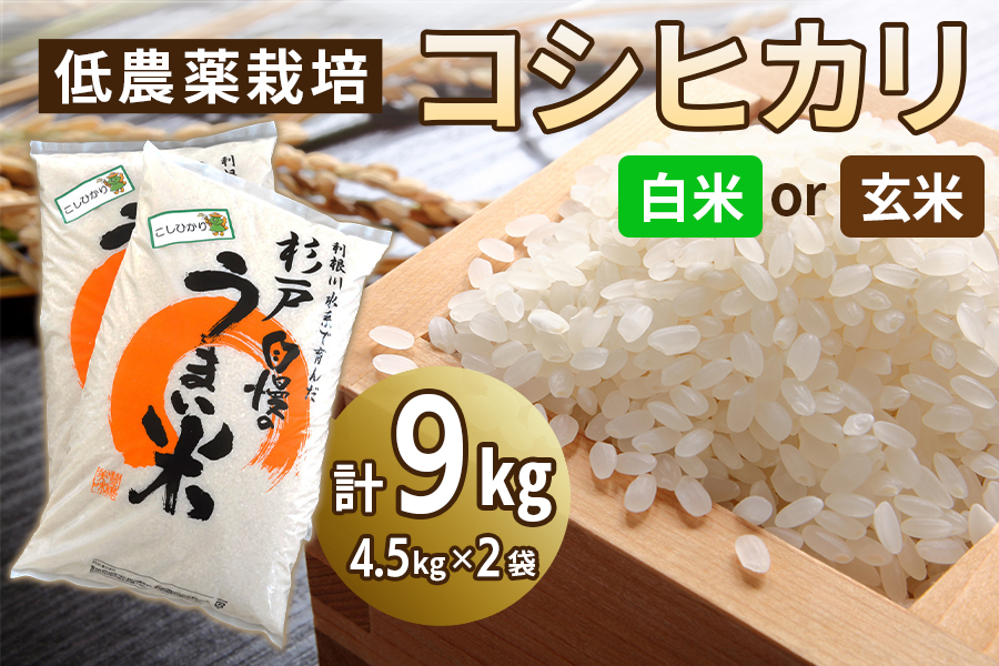 
                  コシヒカリ 9kg 低農薬栽培 ＜選べる種類＞ | コシヒカリ こしひかり 米 こめ コメ お米 白米 玄米 精米 ご飯 ごはん お取り寄せ 贈答 人気 おすすめ 上原農場 埼玉県 杉戸町
                