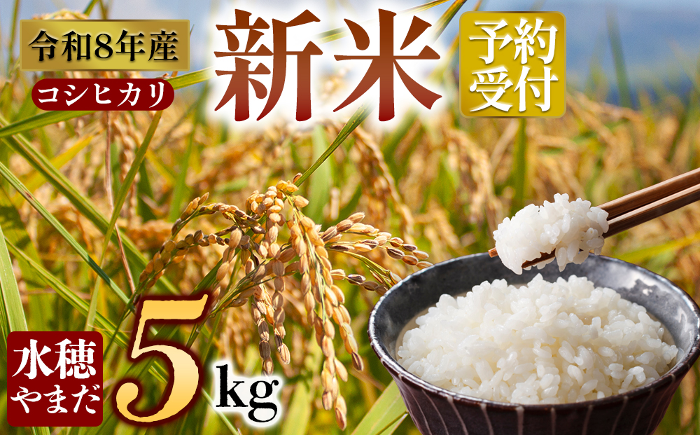 【予約】令和8年産 コシヒカリ 5kg 白米 水穂やまだ グランプリ獲得 R8年 お米 人気 美味しい  弾力 粘り 食感 湧水 ごはん 熊本県 阿蘇市 コシヒカリ