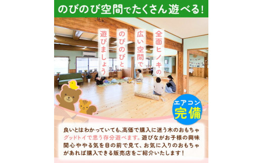 施設利用券 5000円分 (500円チケット×10枚) こどもとおもちゃのフラットソース《30日以内に出荷予定(土日祝除く)》---so_oflatriyo_30d_23_20000_5000en--