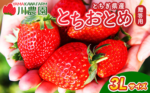 とちおとめ 320g×2パック 3Lサイズ ｜ いちご 苺 イチゴ 贈答 フルーツ 果物 国産 平積み ※2027年1月～発送