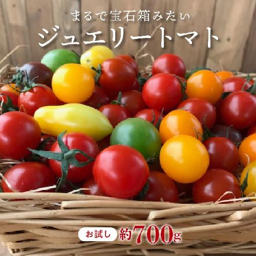 【先行受付】2026年11月から発送【お試し】まるでトマトの宝石箱！ジュエリートマト 約700g（11月～2月発送）　長田農園 産地直送 トマト とまと 野菜 やさい フルーツ サラダ 濃厚 甘い ご褒美 プレゼント 美容 健康 リピート多数 人気 高評価 先行受付 数量限定 碧南市　H004-227_Nov