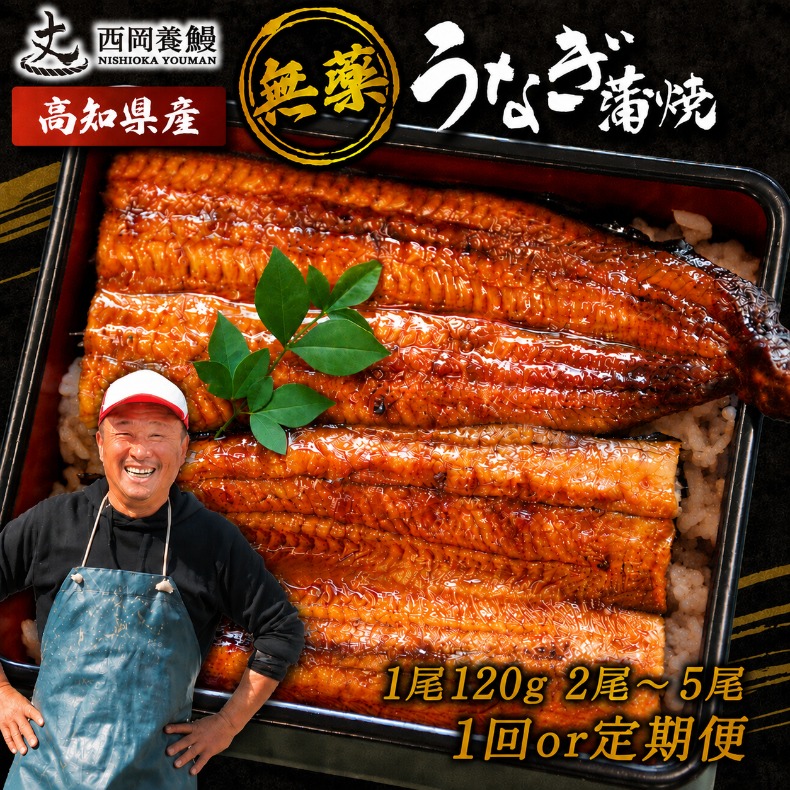 国産 うなぎ 蒲焼 1尾 120g 2尾 ~ 5尾 1回 2回 ～ 5回 定期便 高知県産 無添加 ▼ 国産 うなぎ 鰻 ウナギ 蒲焼 うなぎ 蒲焼き うなぎ タレ 山椒 付き うなぎ ウナギ 鰻 冷凍 鰻 うなぎ ウナギ 鰻 人気 ウナギ うなぎ おすすめ うなぎ おいしい unagi うなぎ
