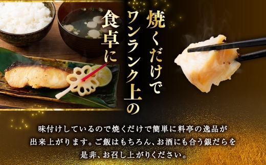 【5回定期便】笹谷商店 本造り 銀だら味噌漬6切【3切×2パック】 北海道 釧路 ふるさと納税 ギンダラ 魚 魚介類 海産物 F4F-8307
