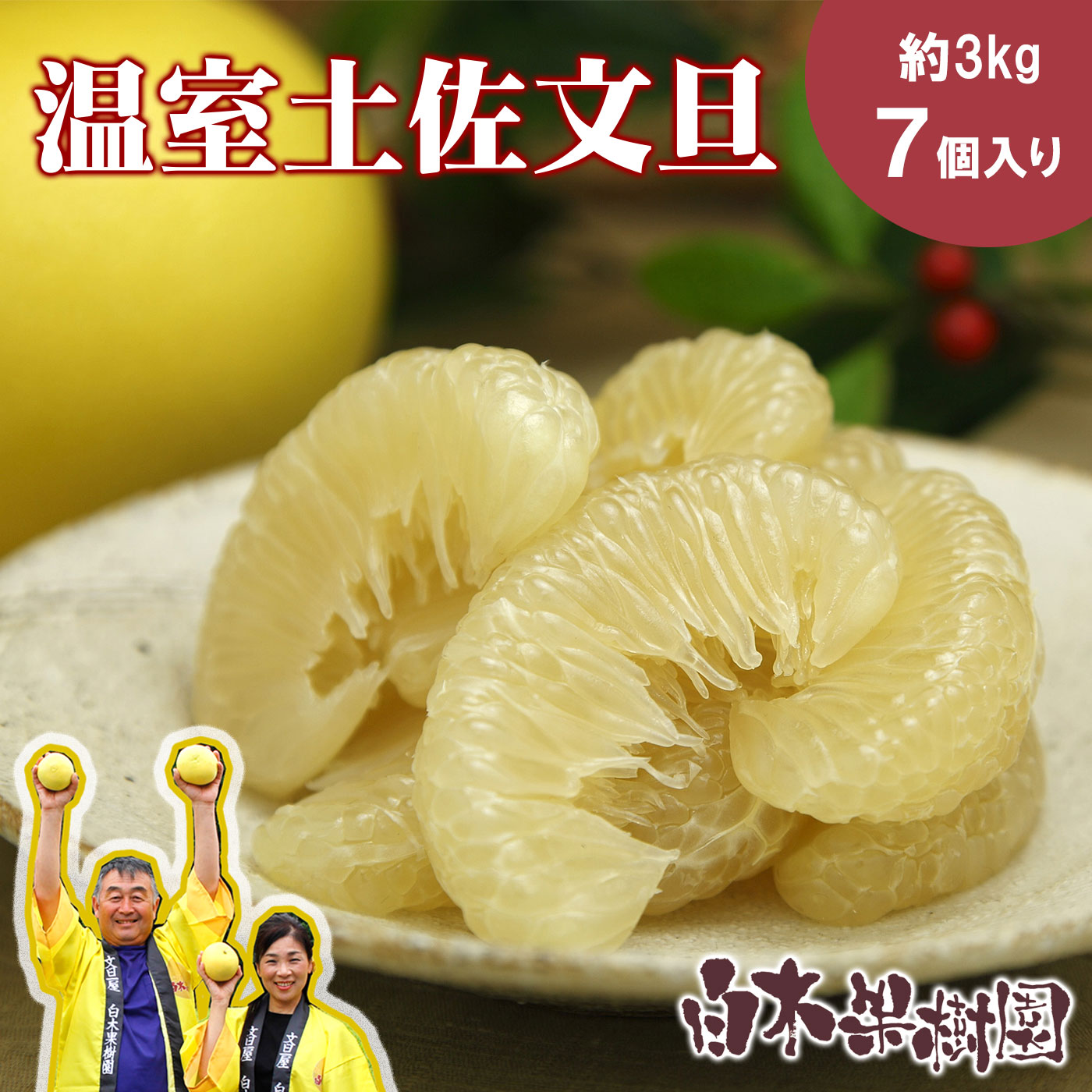 【ふるさと納税】【先行予約】温室土佐文旦 Lサイズ 7個入り〈2026年12月上旬〜2027年1月中旬頃発送〉 / お得箱 ブンタン ぶんたん 土佐文旦 フルーツ 果物 くだもの 柑橘 旬 訳あり わけあり ご自宅用 ご家庭用 おいしい 甘い【白木果樹園】[BQAI039]
