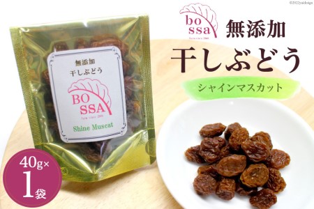 干しぶどう シャインマスカット 無添加 国産 干しぶどう【40g×1袋】