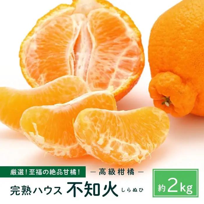越冬完熟しらぬひ 2kg 3月上旬～｜みかん 柑橘 しらぬい 不知火 しらぬい 尾道市