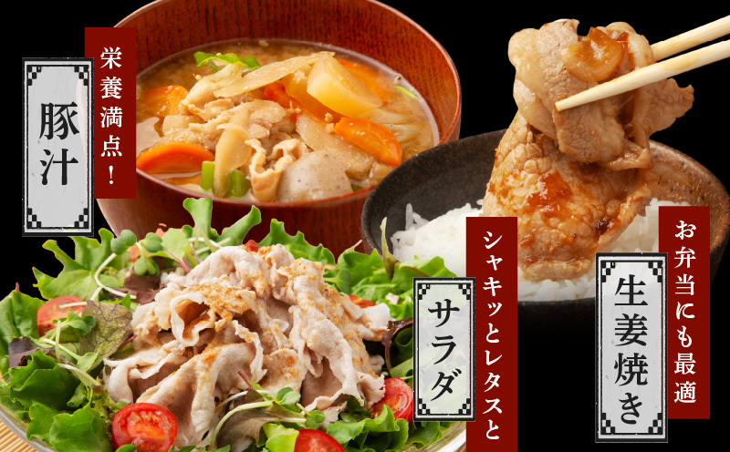 国産 豚肉 切り落とし 2.4kg【国産 味付け肉 400g×6P 小分け 訳あり 部位不揃い】 CFX0072_イメージ5