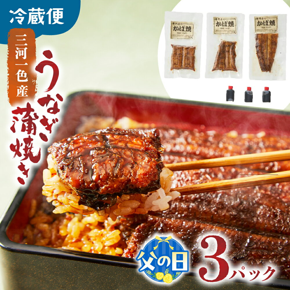 【ふるさと納税】【父の日ギフト】3代目が焼く蒲焼き真空パックA 3パック 国産 うなぎ 蒲焼 鰻 ウナギ 蒲焼 国産 鰻 ウナギ うなぎ 蒲焼き うなぎ蒲焼 土用の丑の日 父の日 ギフト 三重県 多気町 UK-0106