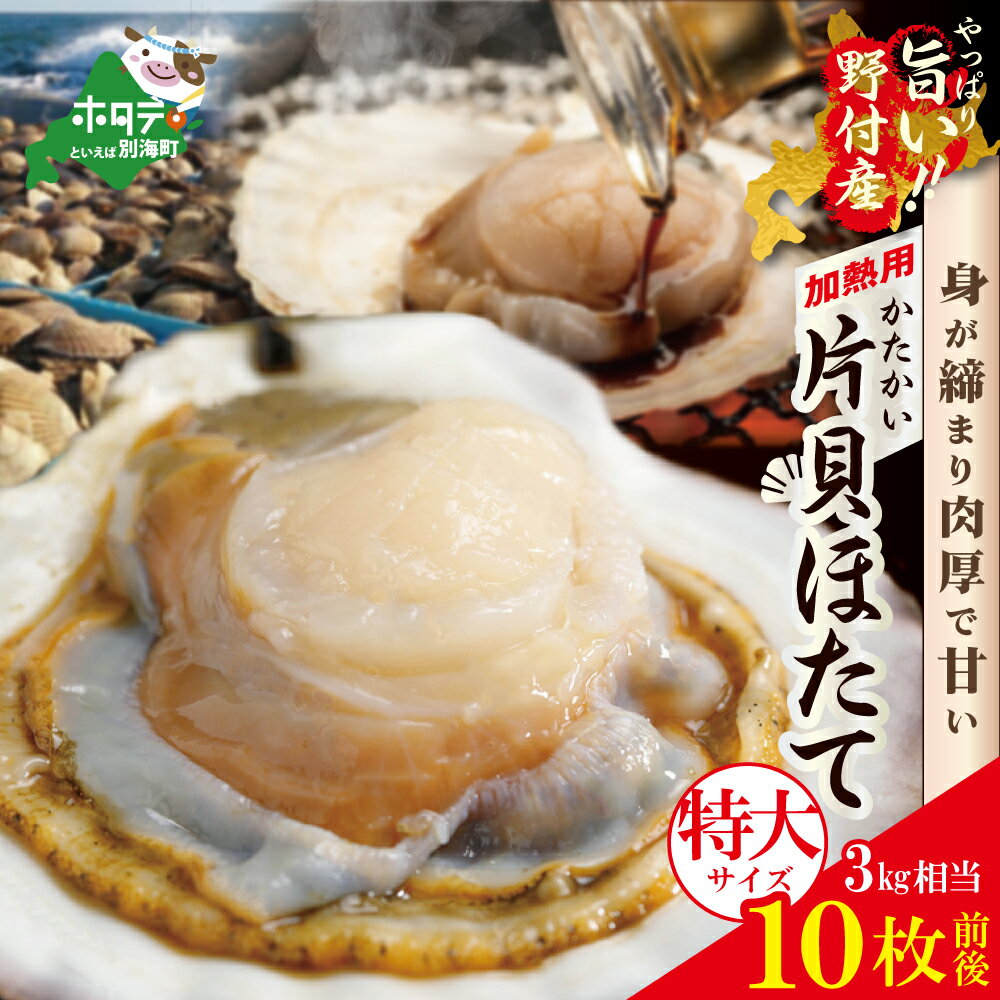 【ふるさと納税】バーベキュー に最適！解凍してそのまま焼けます！ 特大 野付産 片貝ホタテ（ 冷凍 ) 3kg 相当 10枚 前後 ( ふるさと納税 北海道 ふるさと納税 バーベキュー ほたて ふるさと納税 ホタテ 殻付き 帆立 ほたて貝柱 帆立貝柱 貝付き 海鮮 訳あり 3キロ )