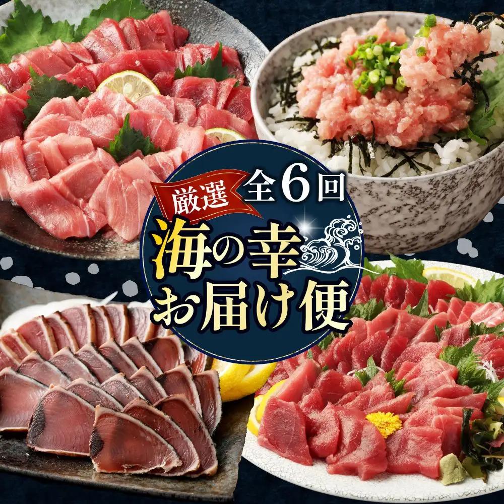 【定期便/計6回】海鮮【惣菜海鮮】tk110 FN-Limited-PR