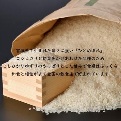ふるさと納税 村田町 令和6年産 ひとめぼれ 玄米10kg 宮城県村田町産 |  | 02