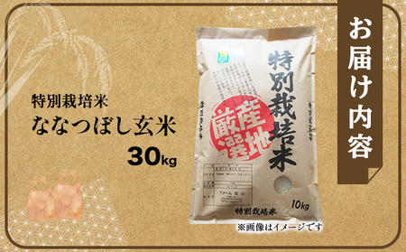令和7年産!ファーム坂口の特別栽培米 ななつぼし玄米 30kg (30kg×1袋)