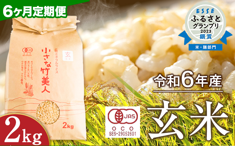 【6か月定期便】 令和6年産 小さな竹美人 玄米 2kg 玄米 株式会社コモリファーム《お申込み月の翌月から出荷開始》---sc_kmjasrgtei_24_49500_mo6num1---