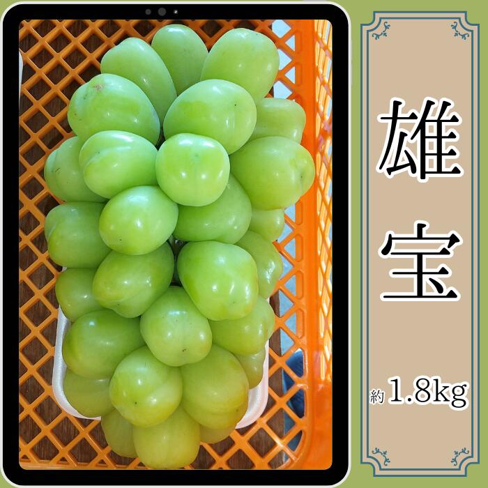 【ふるさと納税】雄宝 約1.8kg＜9月中旬より発送開始＞【配送不可地域：離島】