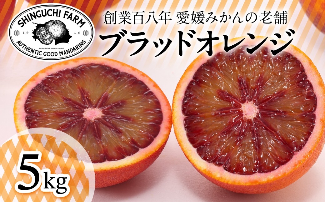 
                  ＜太陽の恵みをギュッと凝縮＞ブラッドオレンジ 5kg 愛媛県産＜D70-18＞【1470701】 YWTK018
                