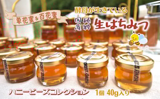 ハニービーズコレクション“しろいの季節”のはちみつ 40g 国産純粋生はちみつ お試しサイズ