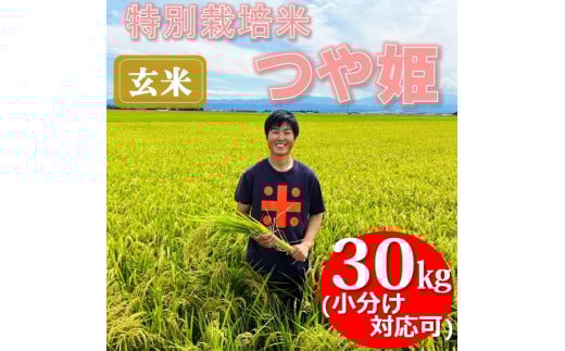 【令和7年産・玄米】ecofarmすがわらの特別栽培米つや姫30kg※10月下旬頃から順次配送