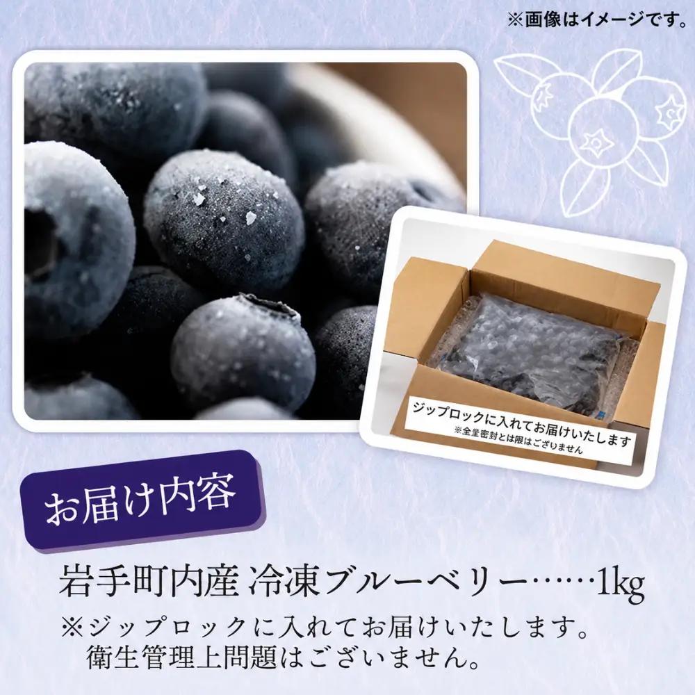 ブルーベリー 冷凍 1kg フルーツ ベリー 果物