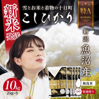 ふるさと納税 十日町市 【無地のし】無洗米 令和7年産 新潟県 魚沼産 コシヒカリ 2kg×5袋 計 10kg