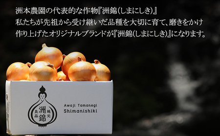 予約受付 3kg 新玉ねぎ オリジナルブランド 洲錦 (しまにしき) 商標登録商品 玉ねぎ タマネギ 野菜 旬の野菜 季節の野菜 兵庫県 洲本市 淡路島
