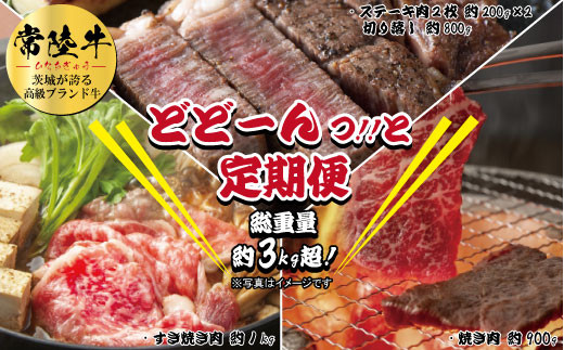 
3ヵ月定期便 常陸牛どどーんっ！と定期便 総重量約３kg超え【茨城県共通返礼品】
