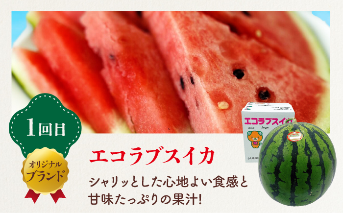 【全3回定期便】 大洲の旬果定期便 愛媛県大洲市/株式会社フジ・アグリフーズ スイカ 紅まどんな せとか フルーツ 定期便 [AGBA025]