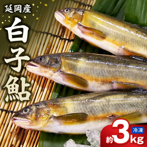 【冷凍】白子鮎 約3kg N070-YC426-2