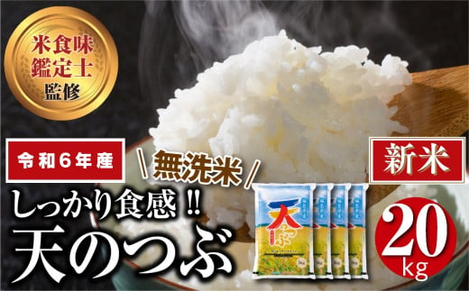 【 新米 】【 無洗米 】 令和6年産 田村市産 天のつぶ 20kg ( 5kg × 4袋 ) 先行予約 精米 白米 贈答 ギフト プレゼント 美味しい 米 kome コメ ご飯 ブランド米 精米したて お米マイスター 匠 食味鑑定士 福島 ふくしま 田村 安藤米穀店