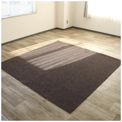 ふるさと納税 泉大津市 Bigループパイルカーペット【PET-6000】200×240　ブラウン
