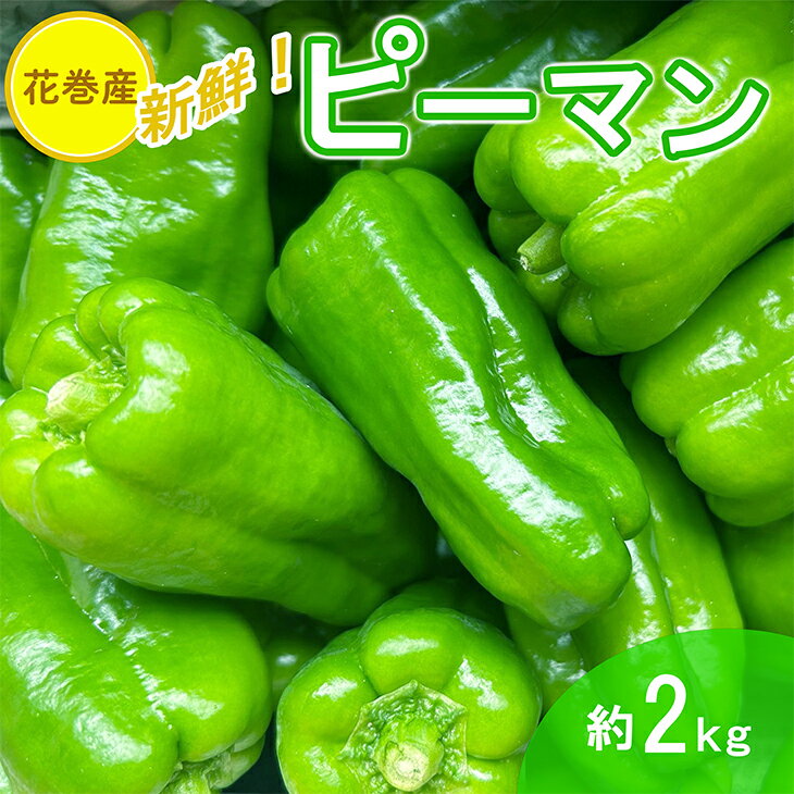 【ふるさと納税】新鮮野菜 ピーマン 約2kg 花巻産 新着