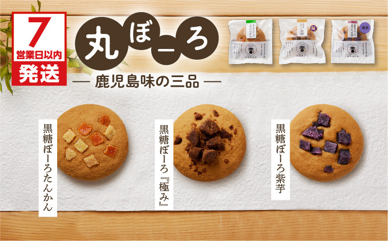 
鹿児島味の三品　K102-005

