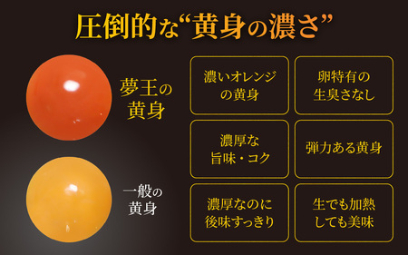 【夢王】 濃厚卵 たまごかけご飯に最適 兵庫県産 ブランド卵 20個入り（10個×2パック）/　たまご