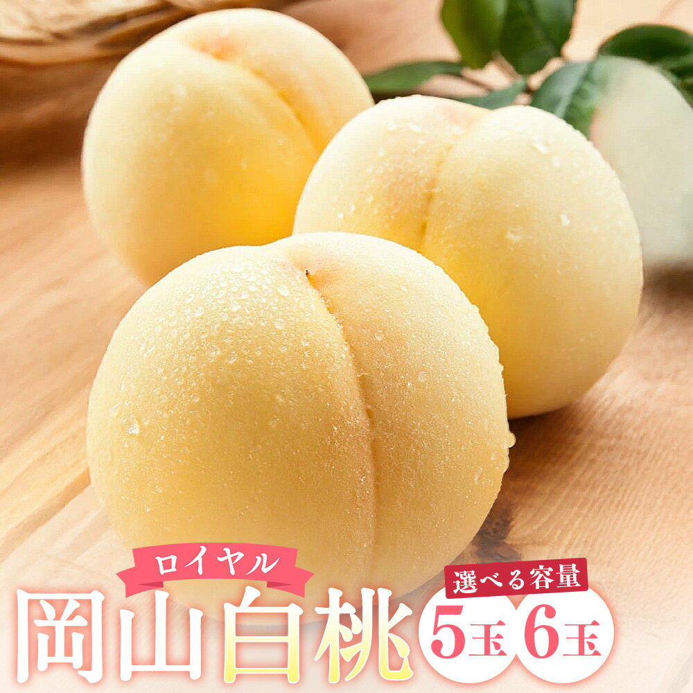 【ふるさと納税】【選べる容量】岡山 白桃 ロイヤル 5玉（1.5kg以上）化粧箱入り または 6玉（1玉330g以上）木箱入り 桃 果物 くだもの フルーツ 高糖度 冷蔵 お取り寄せ 国産 岡山県 奈義町 送料無料 【2025年7月上旬～8月上旬迄発送予定】
