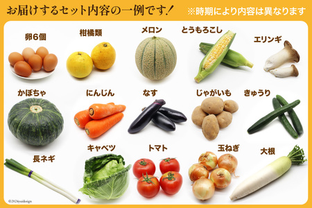 BF059 【12回定期便】旬の野菜・フルーツ (12～14品目)・卵 (6個) おまかせ セット【 野菜 果物 卵 やさい くだもの 果物 タマゴ たまご 詰め合わせ 江戸屋 長崎県 島原市 】 レ