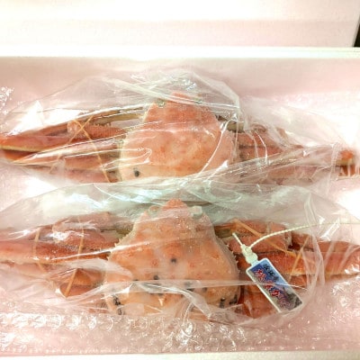 限定品 希少な松葉がに ボイル 2枚 産地しか手に入らない脱皮直前のレアな「二枚皮松葉がに」ソフト蟹【配送不可地域：離島】【1592250】