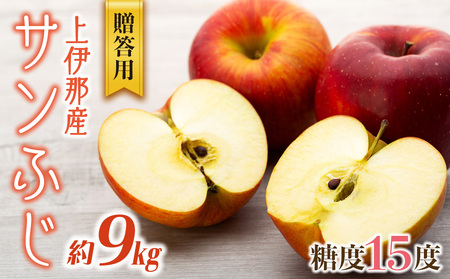 りんご 9kg サンふじ 贈答用 りんご