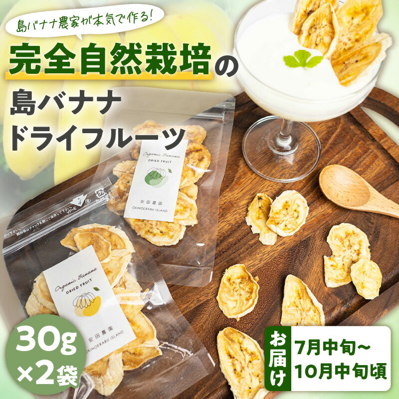 【ふるさと納税】先行受付 バナナ ドライフルーツ 30g × 2袋 農家 完全自然栽培 島バナナ 手づくり 濃厚な甘み 芳醇な香り 砂糖 着色料 保存料 不使用 無添加 ヨーグルト アイス トッピング おやつ お菓子作り アレンジ 沖永良部島産 和泊町 お取り寄せ フルーツ 送料無料