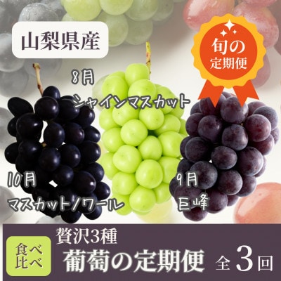 【発送月固定定期便】【8月・9月・10月発送】山梨県まきおか産　葡萄の定期便全3回【配送不可地域：離島・沖縄県】