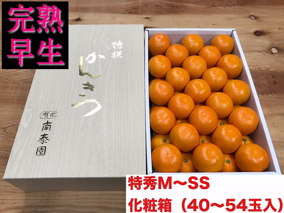 定期便 旬の有田産かんきつ味わい セット 全4回 お届け 南泰園