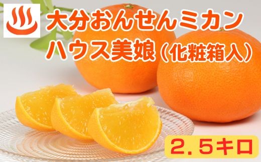 
            大分おんせんミカン「ハウス美娘 約2.5kg（化粧箱入）」＜132-024＞
          