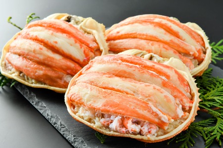 【数量限定】＜網走前浜産＞本ズワイガニ甲羅盛り【かに肉120g】3個 ABAI040