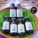 【ふるさと納税】 ブルーベリー ジュース 180ml 6本入り 果汁飲料 ハイブッシュ ラビットアイ ブレンド 果物ジュース すっきり O-B-Iベリー農園 山梨県 北杜市産 送料無料