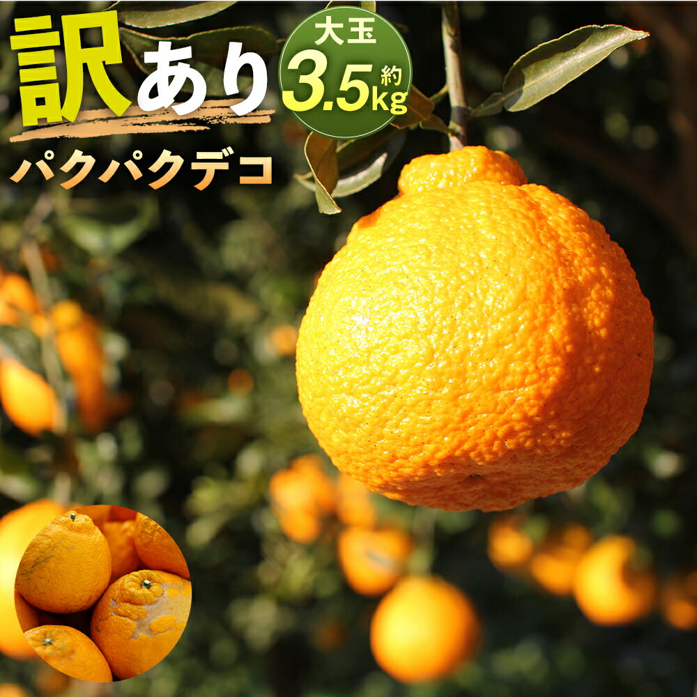 【ふるさと納税】パクパクデコ 約3.5kg 訳あり 大玉 不知火 傷あり バラ ご家庭用 九州産 熊本県産 果物 みかん 柑橘 送料無料【2026年2月下旬-6月下旬発送】