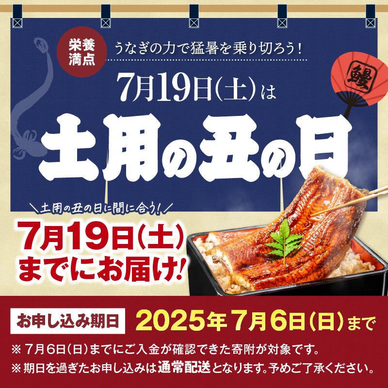 1651-1 鹿児島県産 うなぎ蒲焼き 5尾セット　KN058-002-05